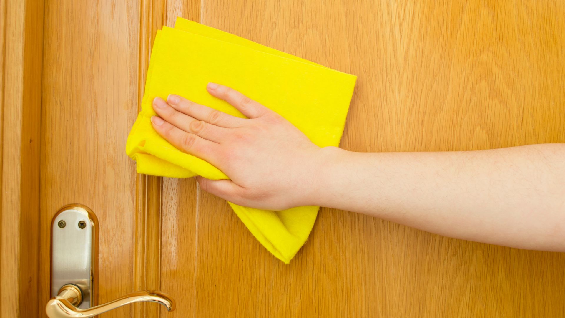 clean wooden doors