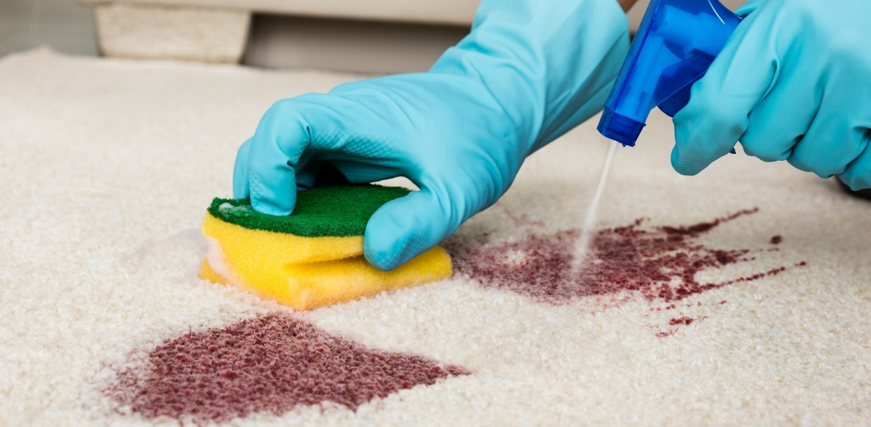 a man cleaning carpet at home cleaning products<br />