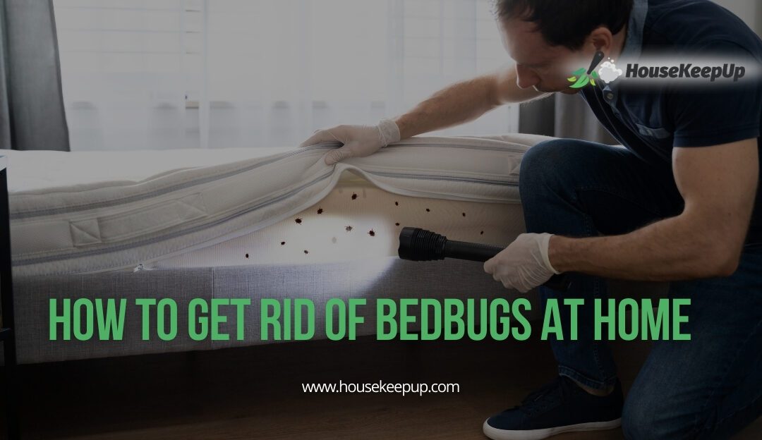 How to Get Rid of Bedbugs at Home