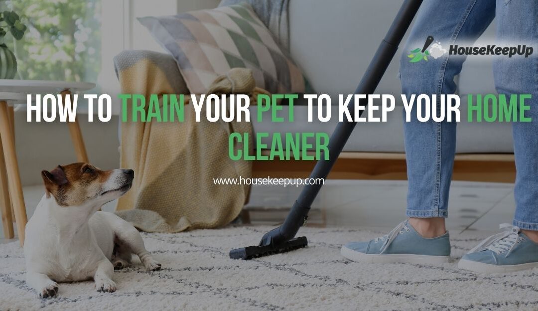 How to Train Your Pet to Keep Your Home Cleaner