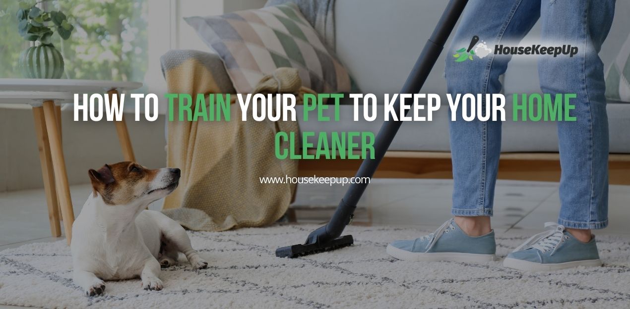 How to Get Rid of Bedbugs at Home