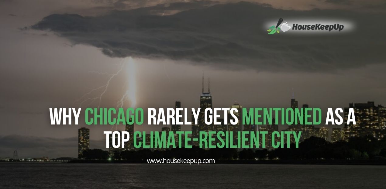 How to Get Rid of Bedbugs at Home