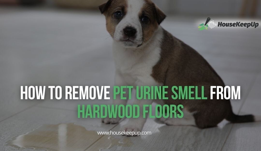 How to Remove Pet Urine Smell from Hardwood Floors