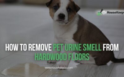 How to Remove Pet Urine Smell from Hardwood Floors