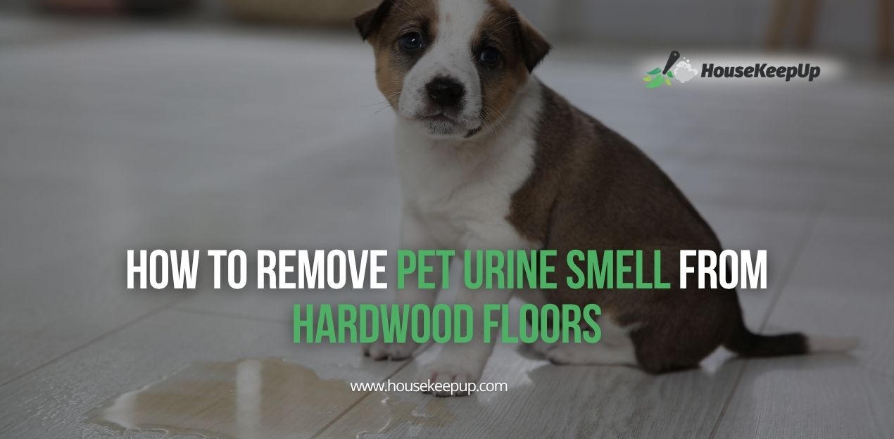 How to Get Rid of Bedbugs at Home