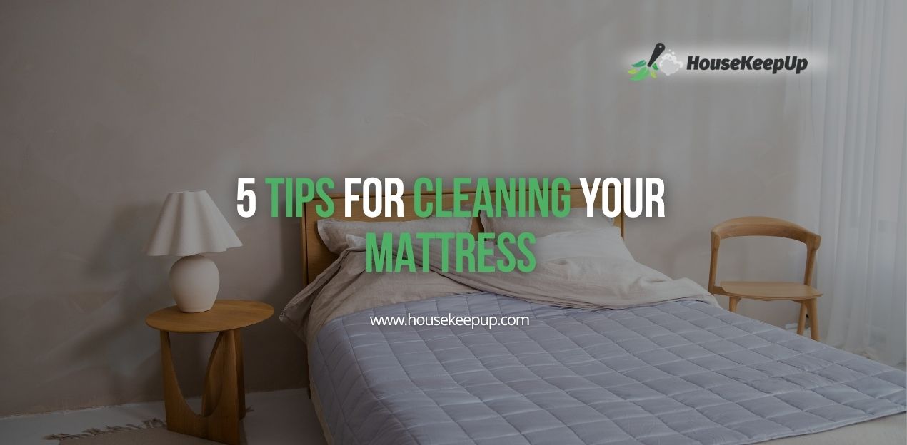 How to Get Rid of Bedbugs at Home